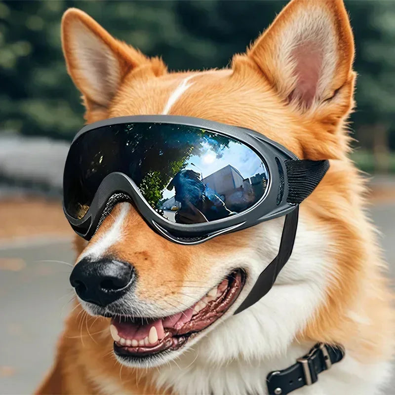 Adjustable Pet Goggles Anti UV Glare Windproof Sunglasses For Dogs