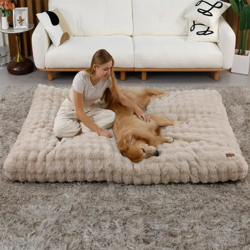 BORWART CN Ultra Plush Dog Bed Soft Cushion For Pets Washable