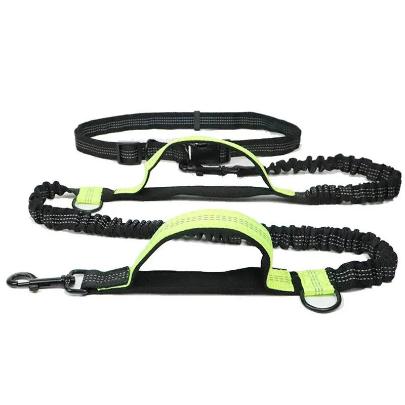 Pet Retractable Belt Leash Reflective Hands Free Dog Leash Running