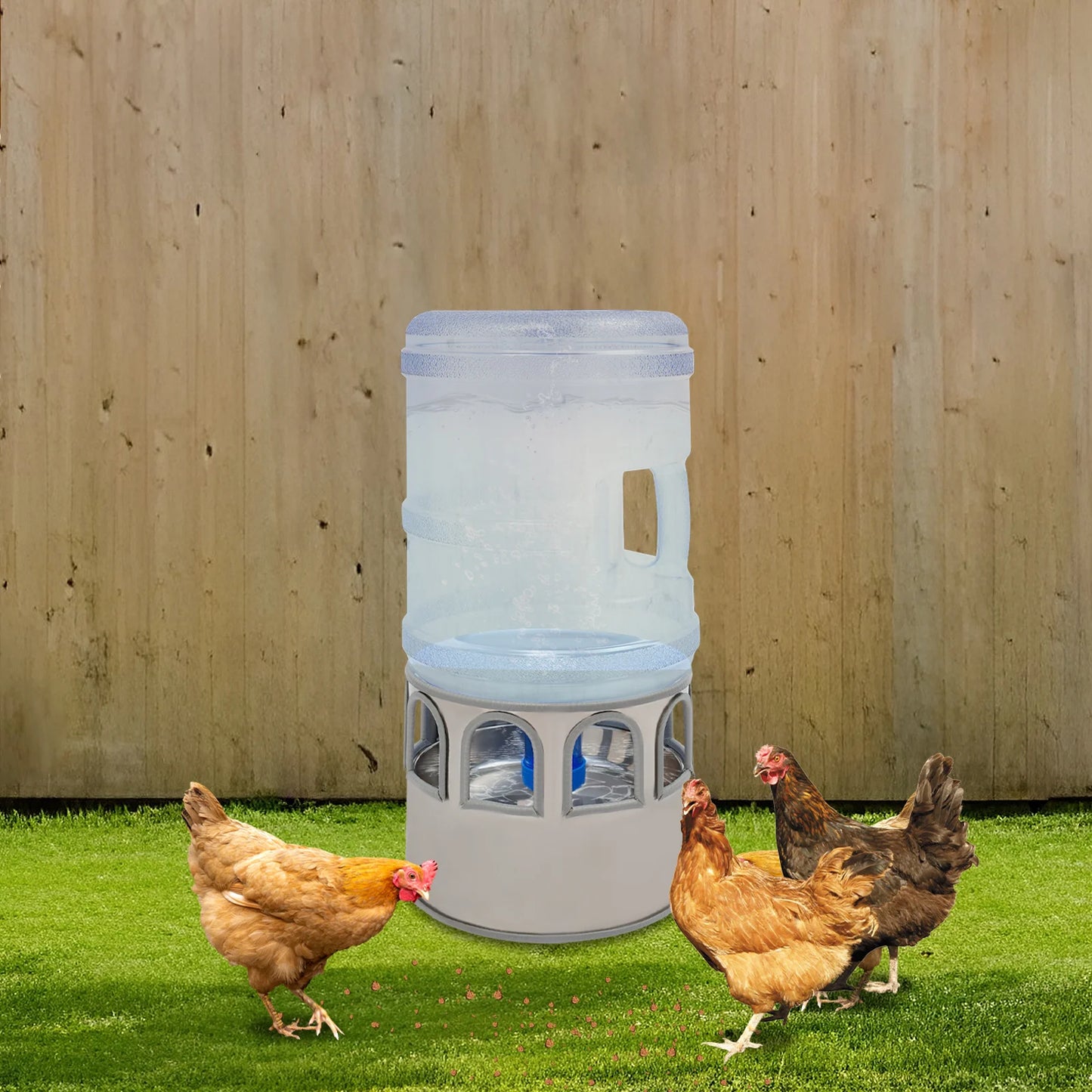 Heated Chicken Waterer With Adjustable Temperature
