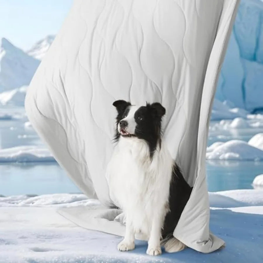 Premium Breathable Self Cooling Pet Throw Blanket For Dogs