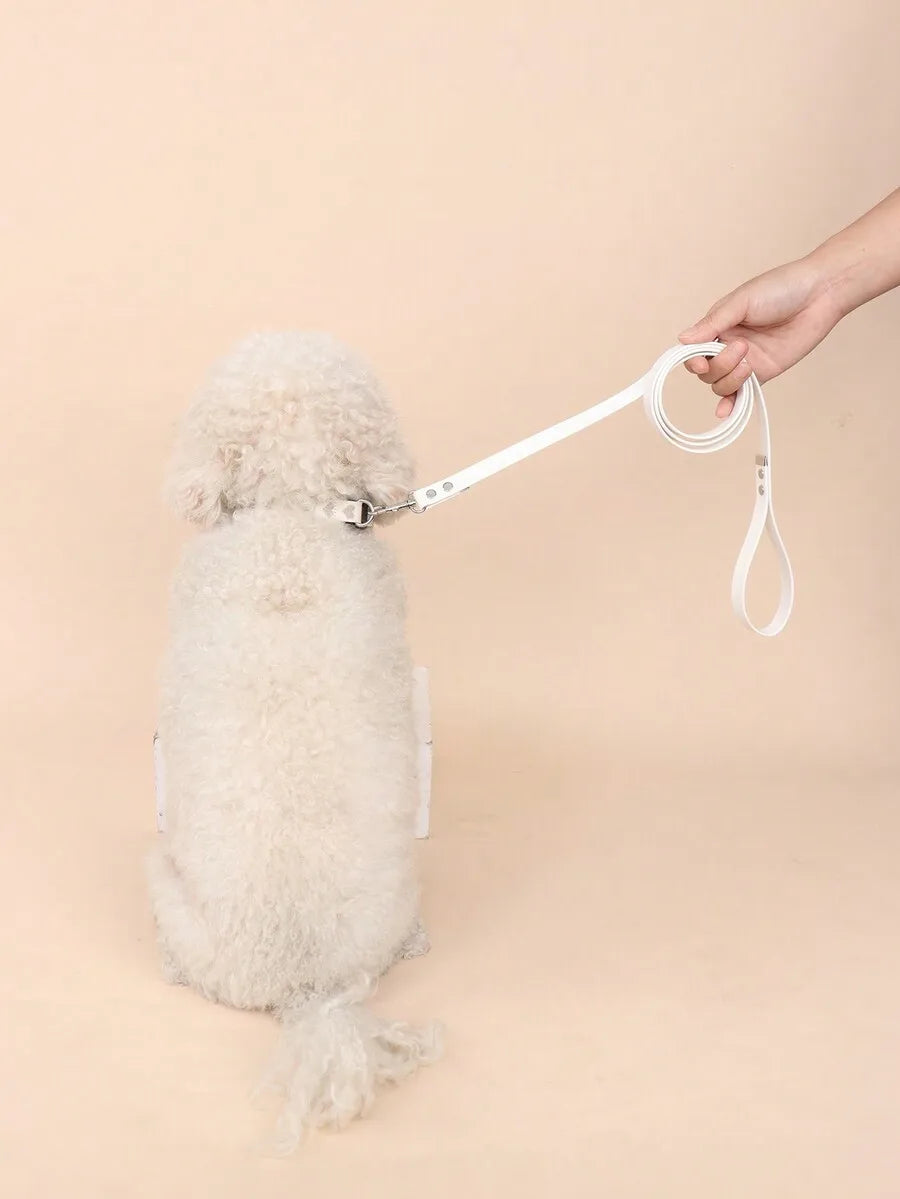Essential PU Leash For Cats And Small Dogs Outdoor Walking