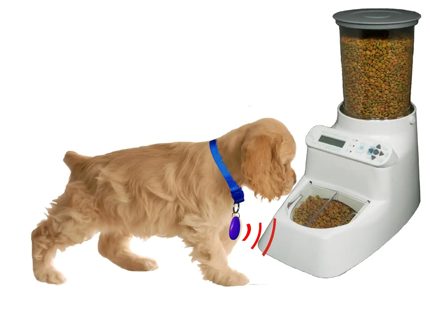 AI RFID Access Control Multi-Pet Feeder
