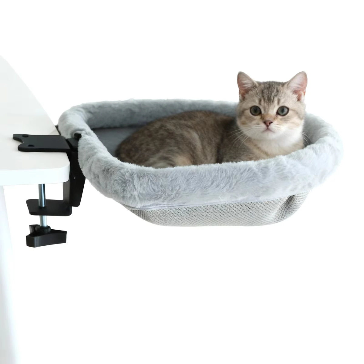CWV Foldable Cat Desk Bed Featuring Non Slip Clamps