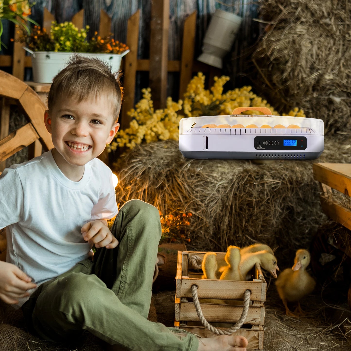 TLXT 35 Egg Incubator With Automatic Egg Turning Humidity Control