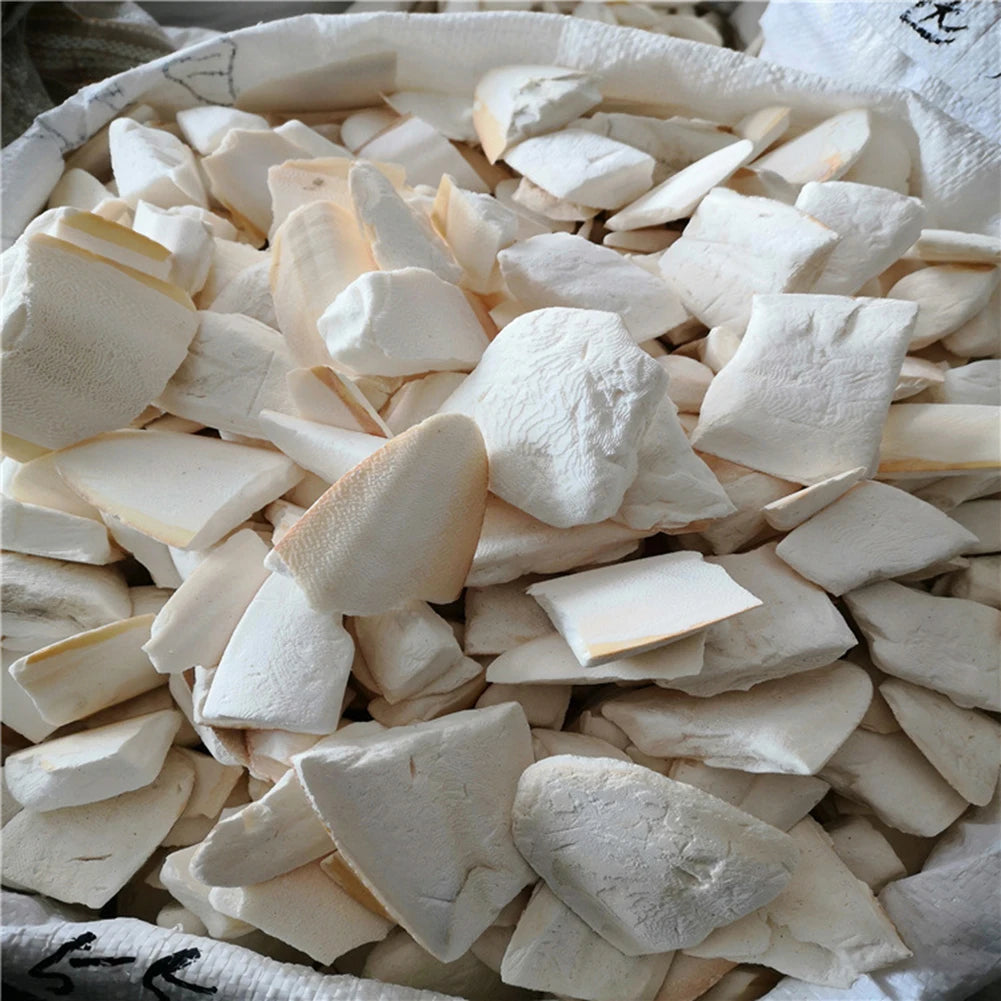 Alloet Cuttlefish Bone For Parrot Bird Chew Toys And Molars