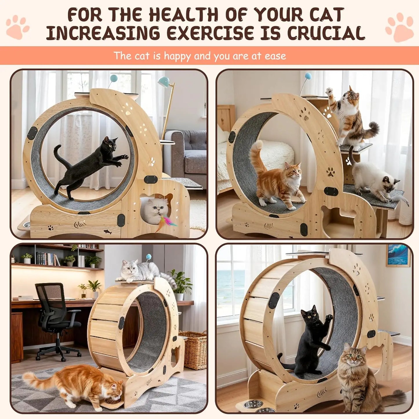 Cat Wheel Six in One Indoor Exercise and Scratching Station