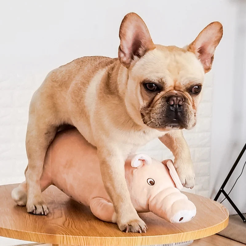 XLeiPet Plush Pig Dog Chew Sleeping Toy For Small Dogs