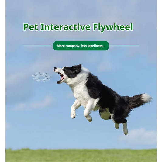 Pet Interactive Flywheel Dog Toy Silicone Water Resistant Rotating