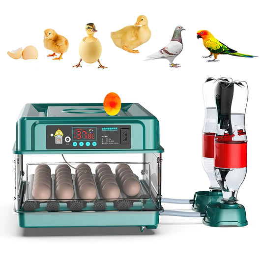 Egg Automatic Incubator for Poultry Hatching Machines