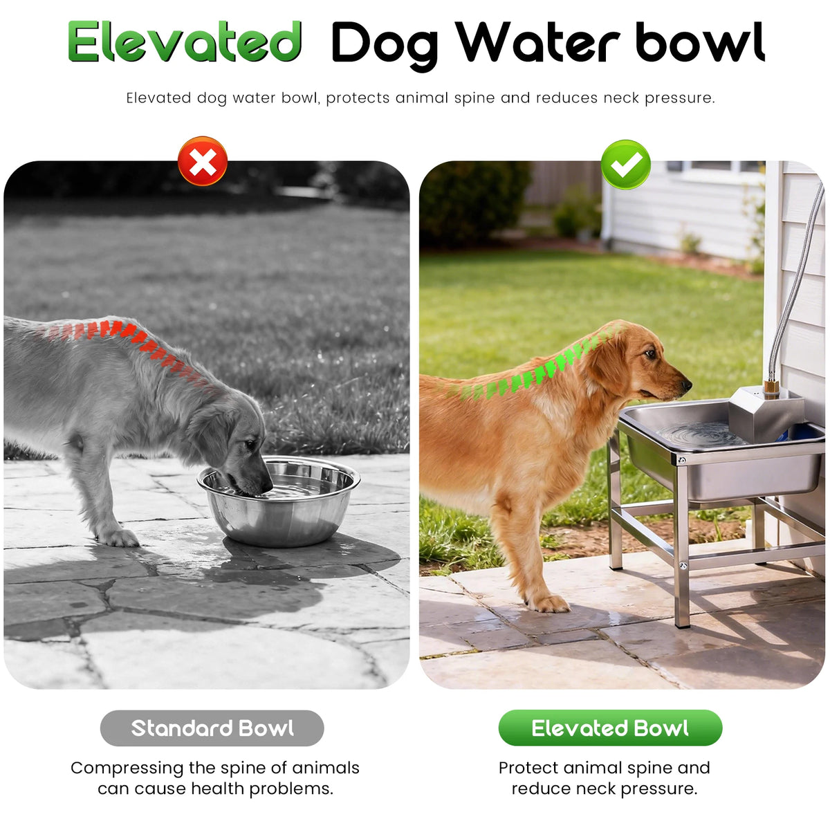 Durable Stainless Steel Elevated Dog Drinking Bowl For Pets