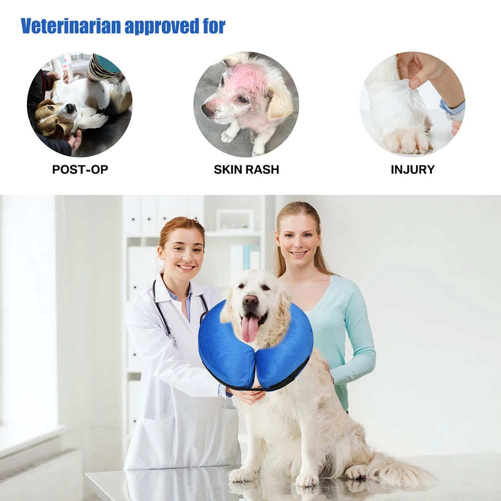Inflatable Postoperative Dog Collar for Pets Recovery and Protection