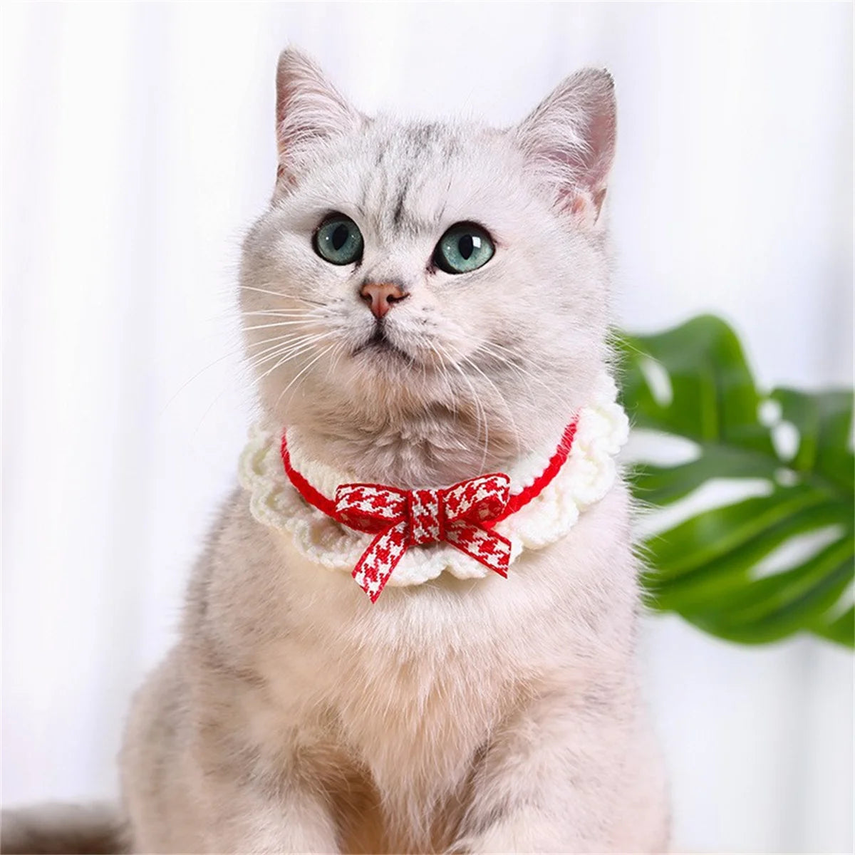 Decorative Bow Knot Knitted Pet Collar For Cats And Dogs