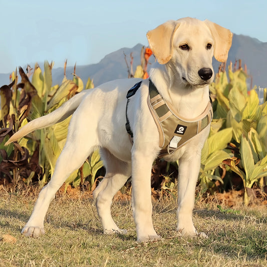 Adjustable Reflective Oxford Vest harness For Medium Large Dogs Labrador Outdoor Walking Training