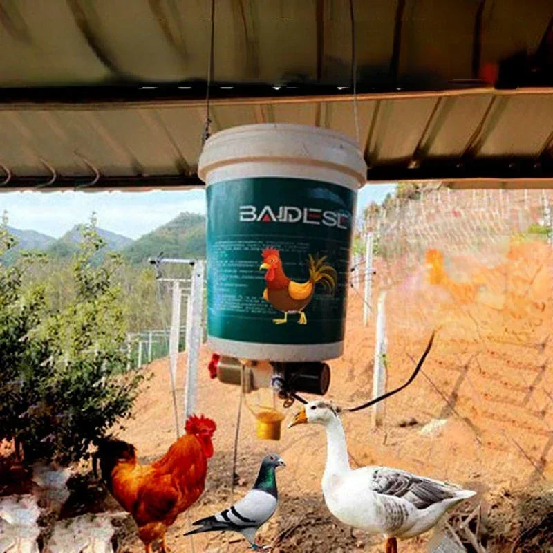 Automatic Chicken Feeder for Pigeons and Chickens with Intelligent Timing