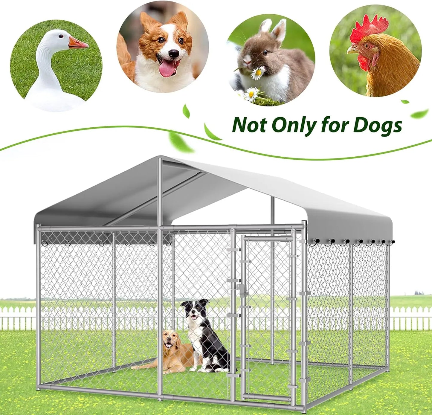 Outdoor Dog Kennel With Roof Galvanized Chain Link Enclosure
