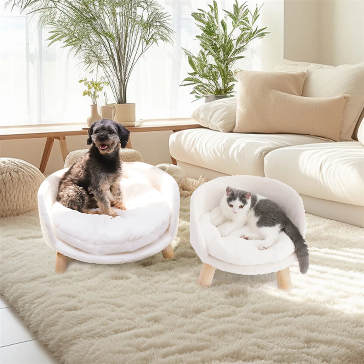 BINGOPAW Pet Sofa Bed Raised Cat Chair Removable Cushion