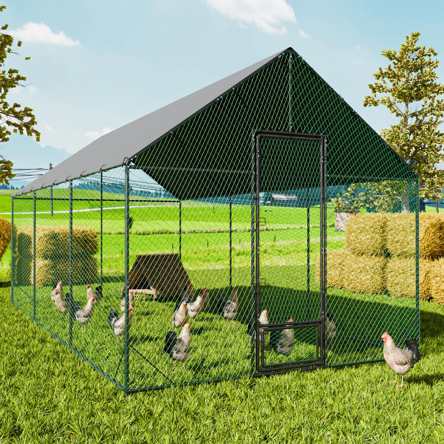 BINGOPAW Walk-In Chicken Coop With Nylon Netting And Cover